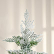 6ft snow-tipped pencil cypress tree – image 8