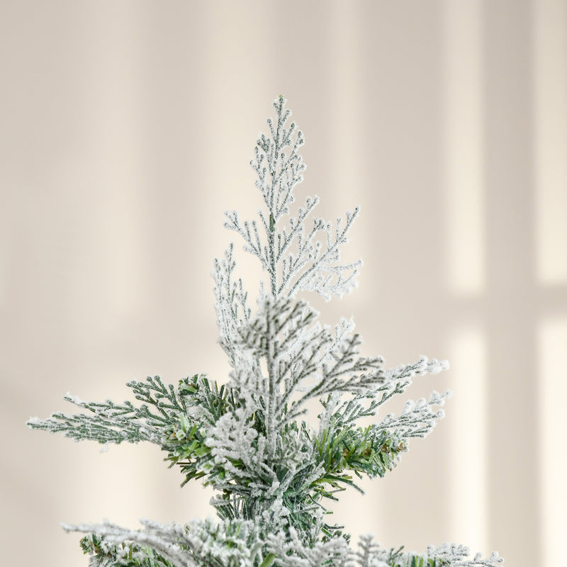 6ft snow-tipped pencil cypress tree – image 8