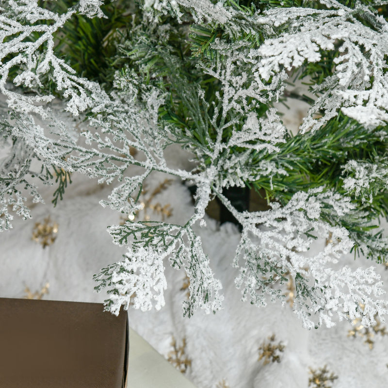 6ft snow-tipped pencil cypress tree – image 9