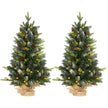 Pair of 3ft pre-lit Christmas trees with snowy tips, red berries and pine cones