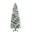 6ft snow-tipped pencil cypress tree – image 10