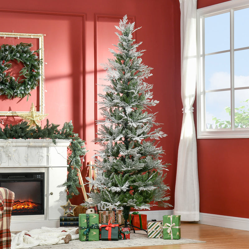 7ft snow-tipped pencil cypress tree – image 2