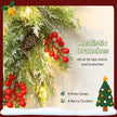 Close-up of pine needles, berries and decorative details