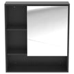 HOMCOM Bathroom Mirror Cabinet, Wall-Mounted Bathroom Cabinet with Mirror Door, Adjustable Shelves, Black – view 10