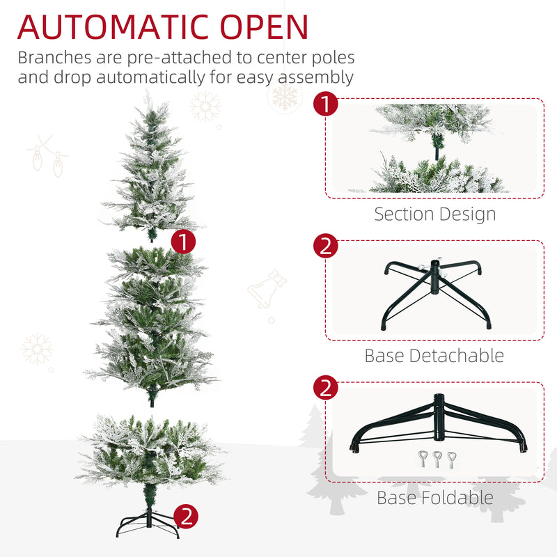 7ft snow-tipped pencil cypress tree – image 6