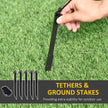 Ground stakes and tether ropes for securing the inflatable