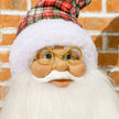 Santa figure displayed beside a Christmas tree