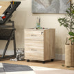 Under-desk 2-drawer filing cabinet – oak – image 10