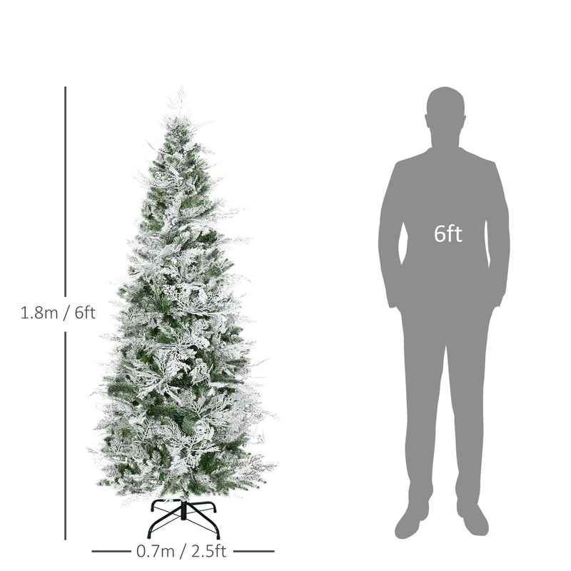 6ft snow-tipped pencil cypress tree – image 3
