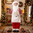 Close-up of Santa's face and beard