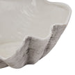 Close-up of the ridged shell exterior and white glazed inside