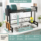 Expandable Dish Drying Rack with Sink Slot & Lid