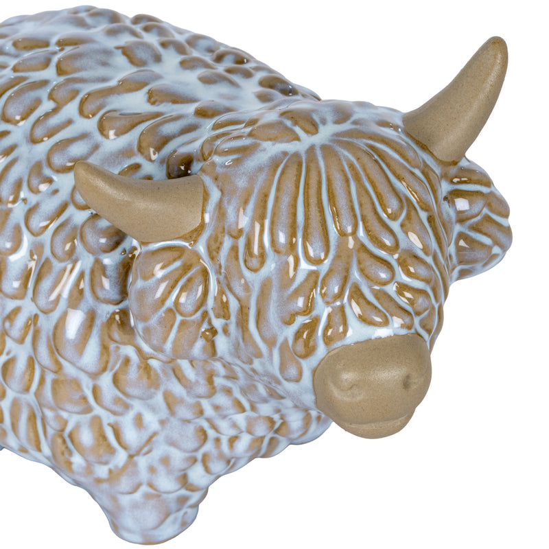 Close-up of the Highland cow's face, horns and textured coat