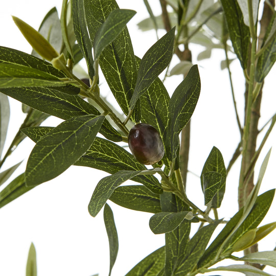 Apulia Artificial Olive Tree in White Pot – 200cm, close-up of olive leaves and fruit
