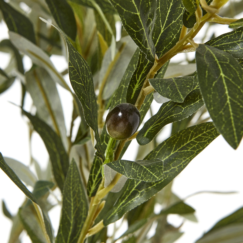 Close-up of olive leaves and small dark olives