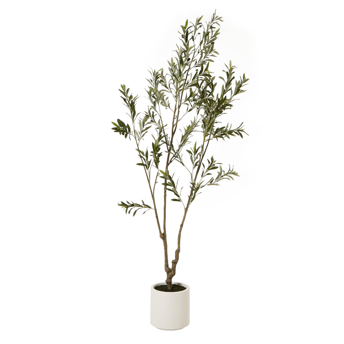 210cm artificial olive tree in a round white pot