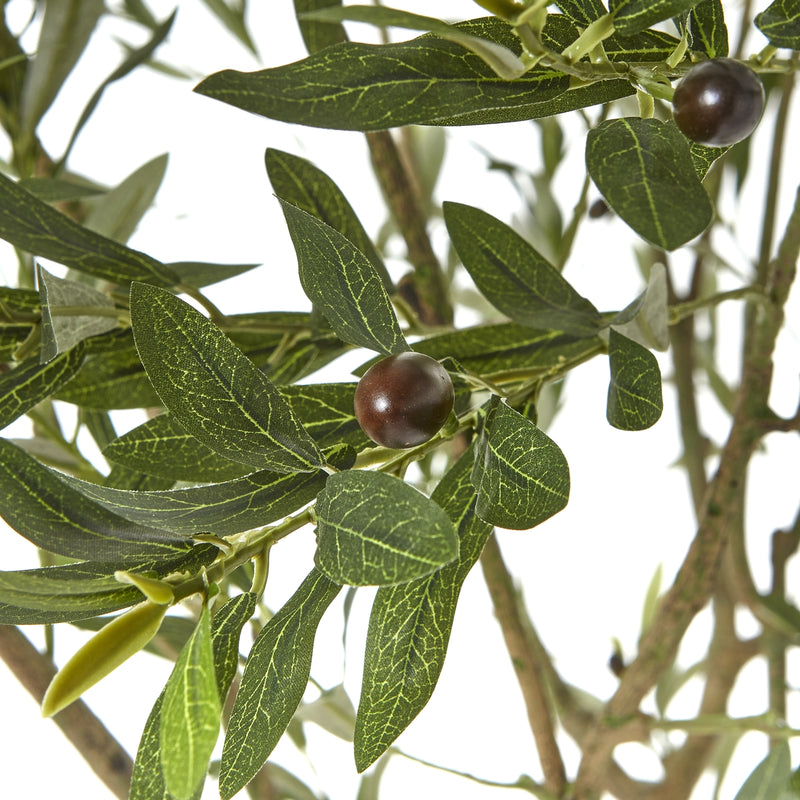 Close-up of olive leaves and small dark olives