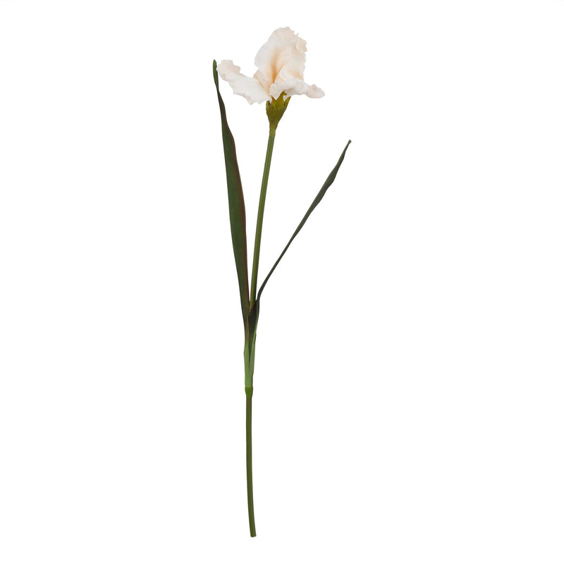 single pale apricot artificial iris stem on white
