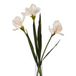 three apricot iris stems in a clear glass vase
