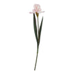 single pale pink artificial iris stem on white