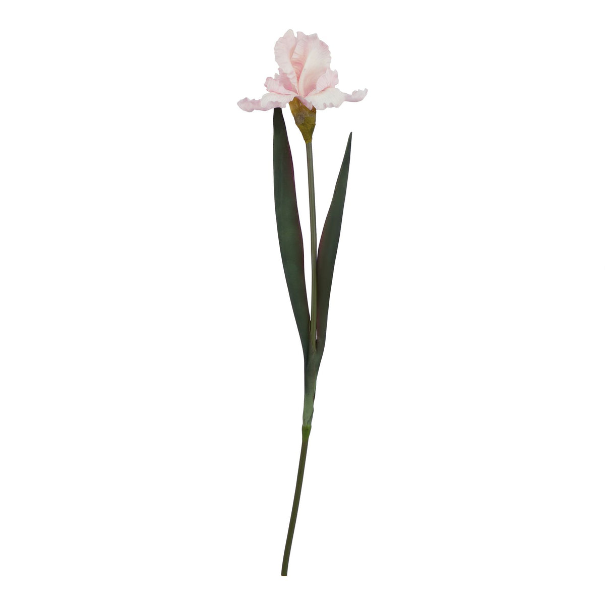 single pale pink artificial iris stem on white