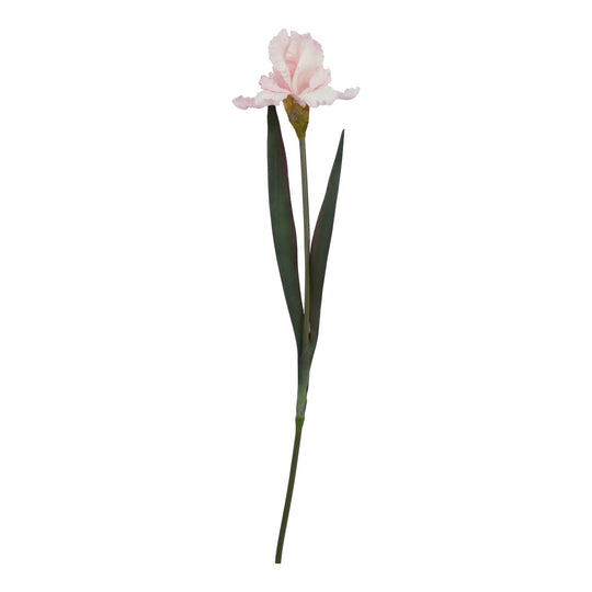 single pale pink artificial iris stem on white
