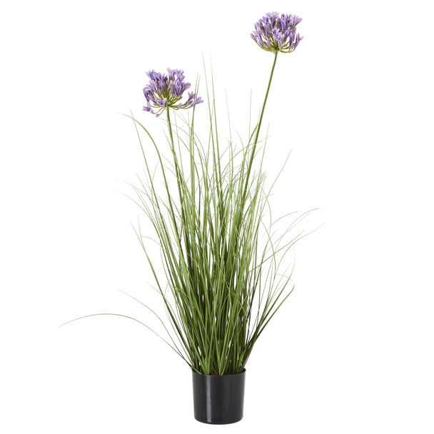 purple artificial agapanthus in a black pot on white