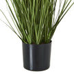 leaves rising from the black pot