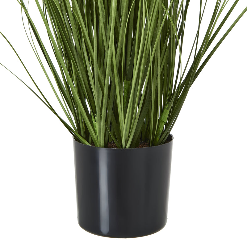 leaves rising from the black pot