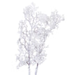 Snowy white branches showing the twiggy stems