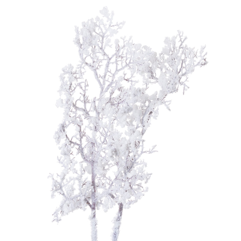 Snowy white branches showing the twiggy stems