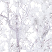 Close-up of the white snow-effect foliage