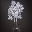 Snowy branches in a glass vase against a dark background