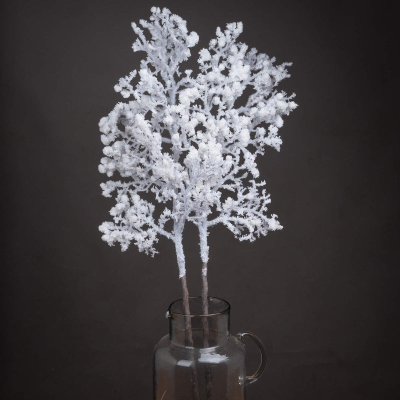 Snowy branches in a glass vase against a dark background