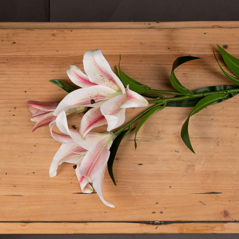 stargazer lily stem laid on a wooden board