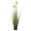 white artificial agapanthus in a black pot on white