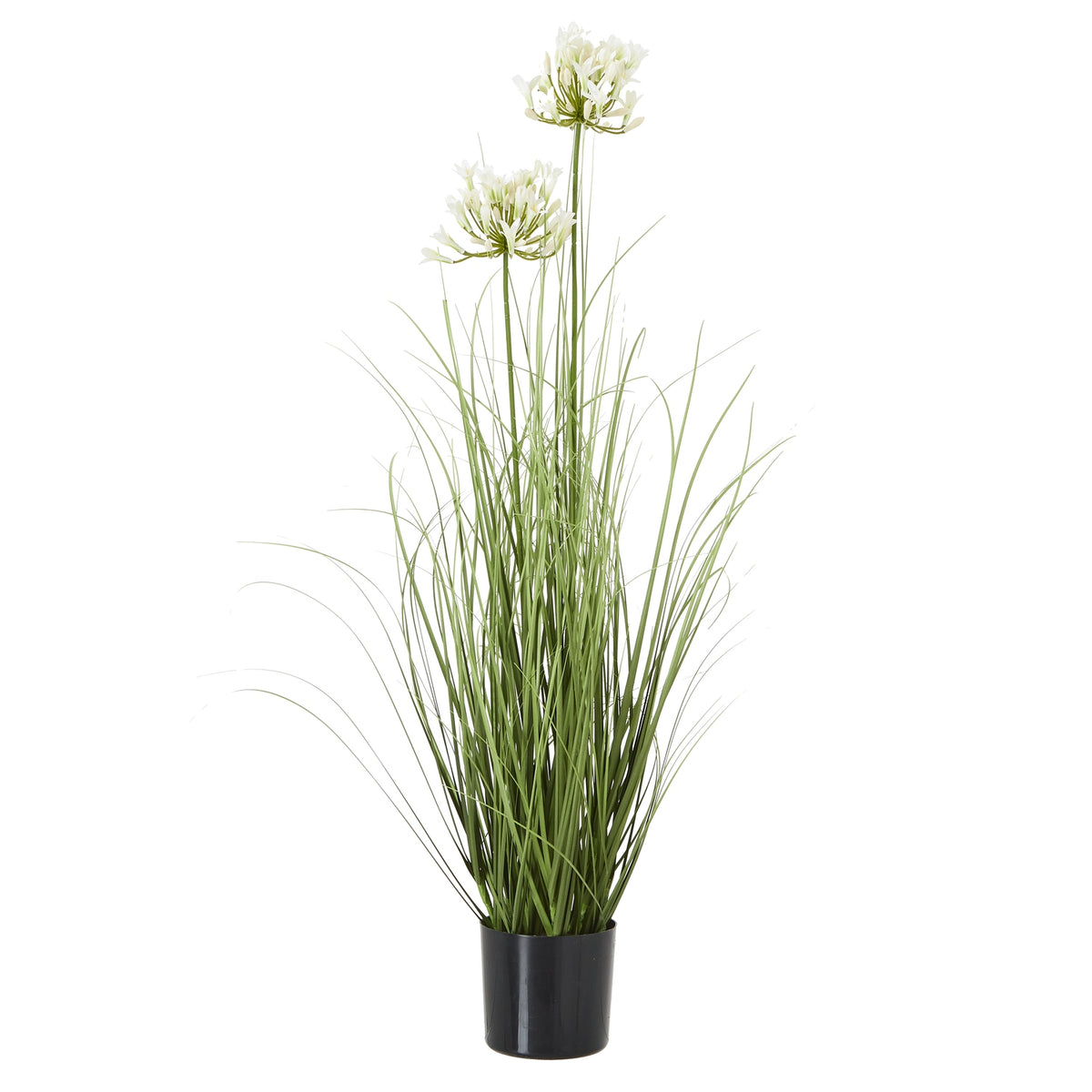 white artificial agapanthus in a black pot on white
