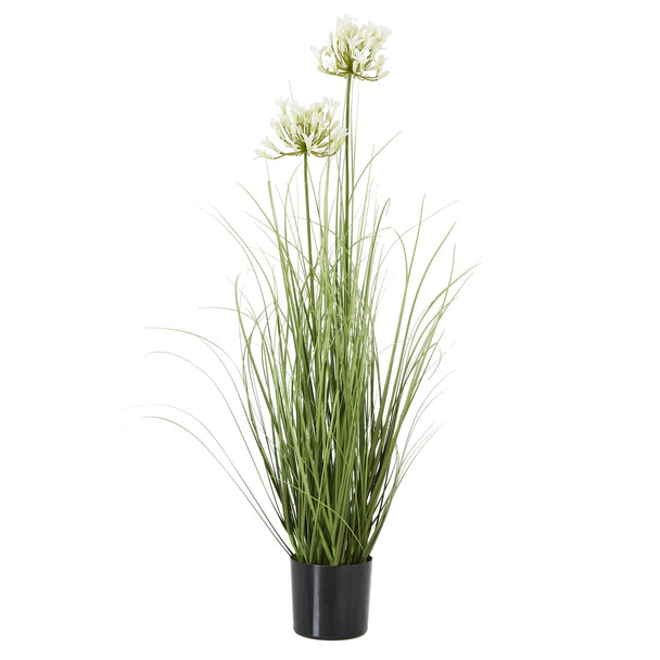 white artificial agapanthus in a black pot on white