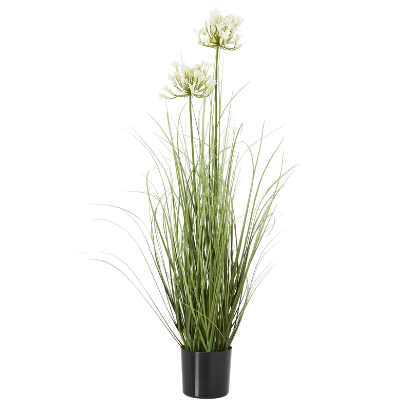 white artificial agapanthus in a black pot on white