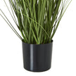 leaves rising from the black pot