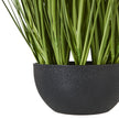 Matt black textured pot at the base of the allium