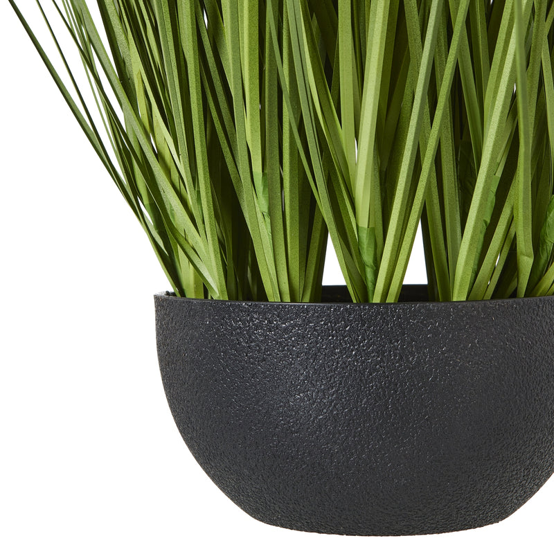 Matt black textured pot at the base of the allium