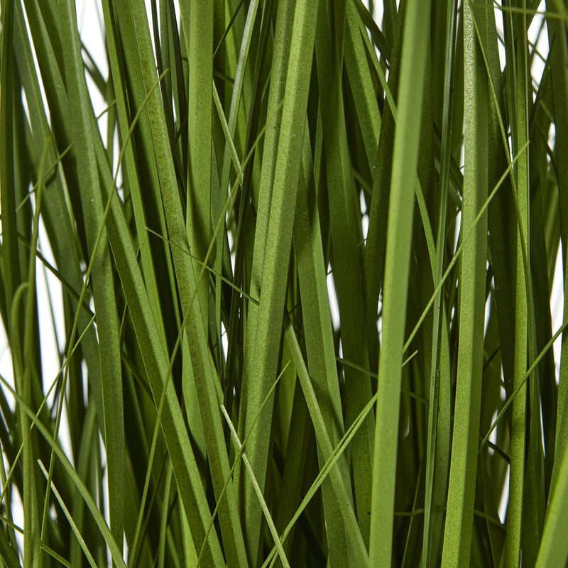 Close-up of the slender green stems