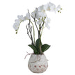 Artificial white orchid in a rustic white stoneware pot