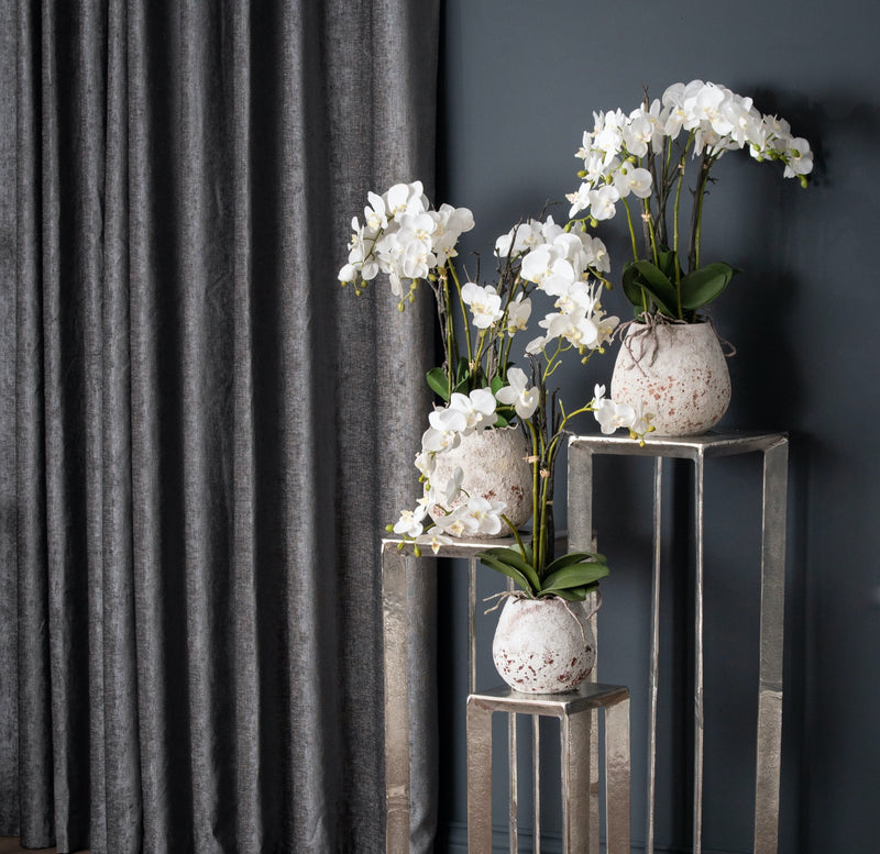 White orchids on metal display stands, shown with other orchids and stands sold separately