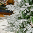 7ft snow-tipped pencil cypress tree – image 9