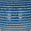 Close-up of the glossy blue glaze on the ribs
