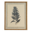 Beech fern print on linen in a beaded wood frame, front view