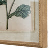 Close-up of the borage leaves, frayed linen and beaded frame