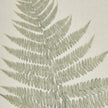 Close-up of the bracken frond on textured paper